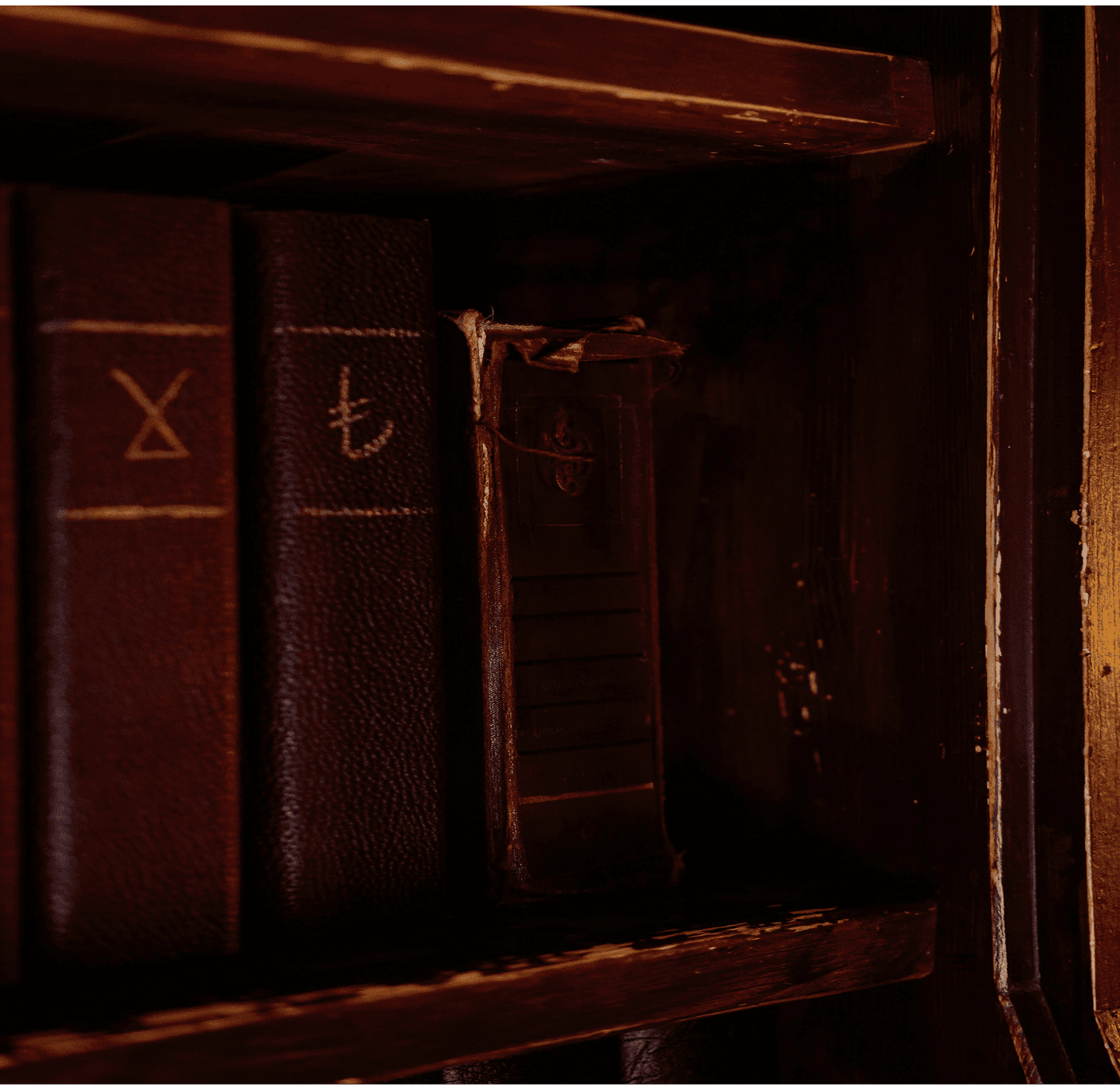 Viking book background